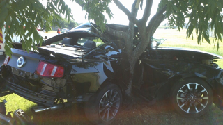 Illustration for article titled Driver Wraps New Mustang Around Tree After Owning It For Only Eight Hours